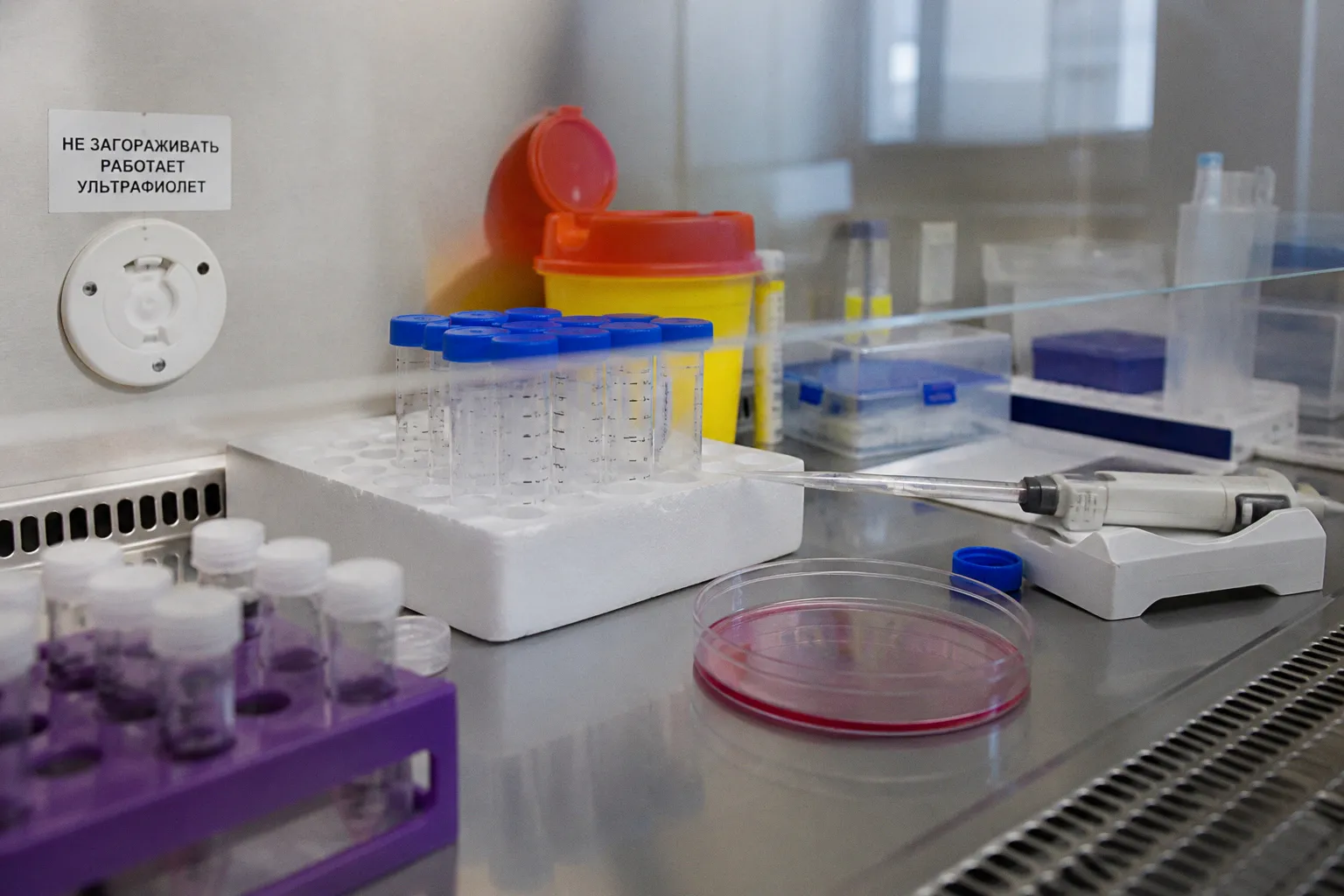 Найден скрытый механизм конкуренции между отделами мозга, защищающий его от старения